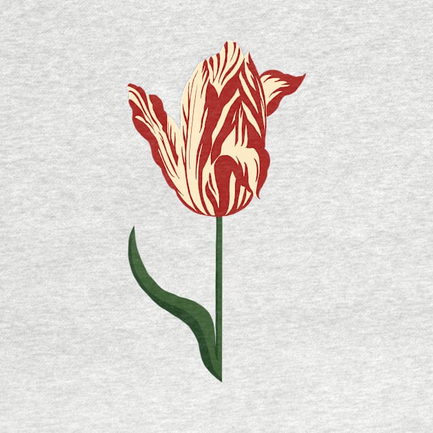 Tulip Fever by fionatgray